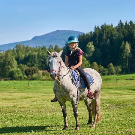 Апартаменты Bauernhof Bauer