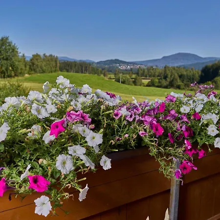 Апартаменты Bauernhof Bauer